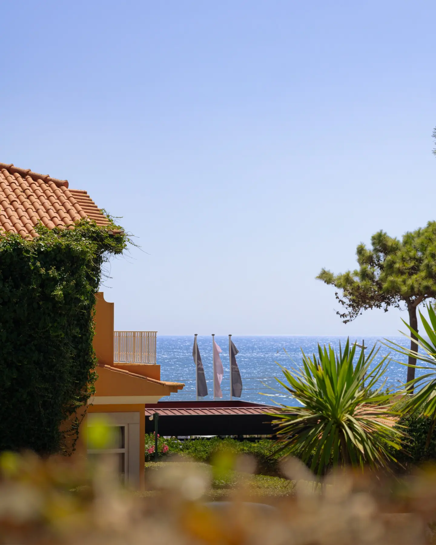 Atlantic view from Longevity Clinic Cascais